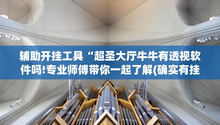 辅助开挂工具“超圣大厅牛牛有透视软件吗!专业师傅带你一起了解(确实有挂)