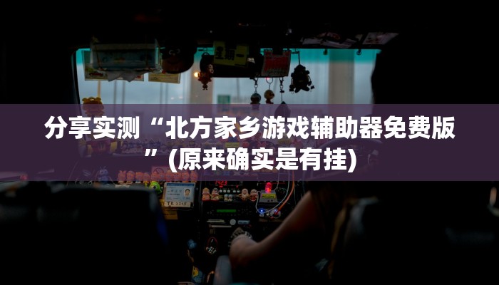 分享实测“北方家乡游戏辅助器免费版”(原来确实是有挂)