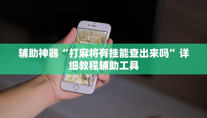 辅助神器“打麻将有挂能查出来吗”详细教程辅助工具