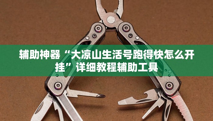辅助神器“大凉山生活号跑得快怎么开挂”详细教程辅助工具