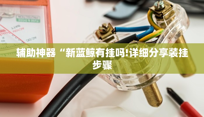 辅助神器“新蓝鲸有挂吗!详细分享装挂步骤