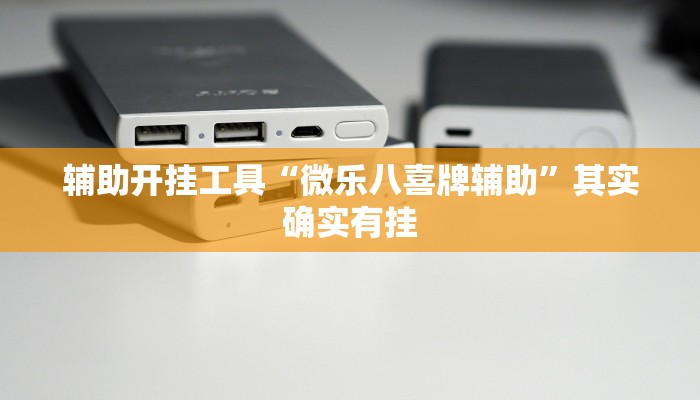 辅助开挂工具“微乐八喜牌辅助”其实确实有挂