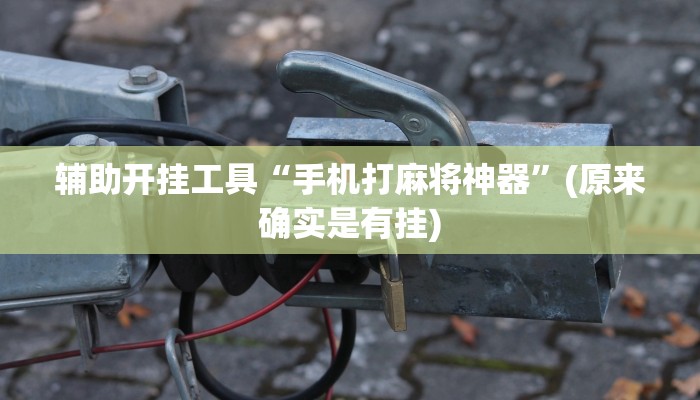 辅助开挂工具“手机打麻将神器”(原来确实是有挂)