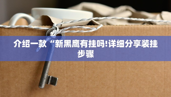 介绍一款“新黑鹰有挂吗!详细分享装挂步骤