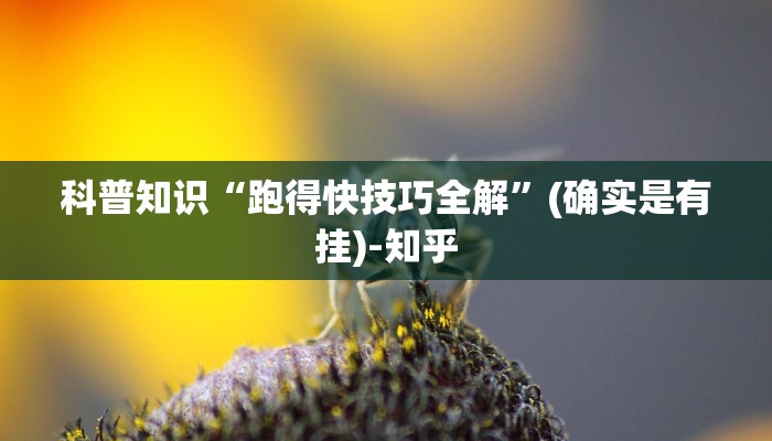 科普知识“跑得快技巧全解”(确实是有挂)-知乎