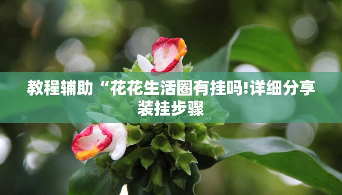 教程辅助“花花生活圈有挂吗!详细分享装挂步骤