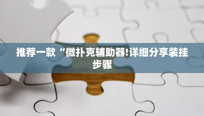 推荐一款“微扑克辅助器!详细分享装挂步骤