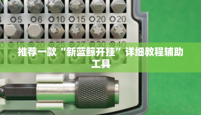 推荐一款“新蓝鲸开挂”详细教程辅助工具