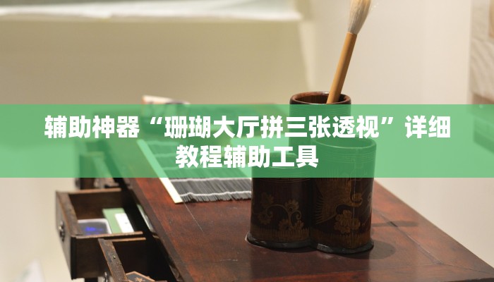 辅助神器“珊瑚大厅拼三张透视”详细教程辅助工具