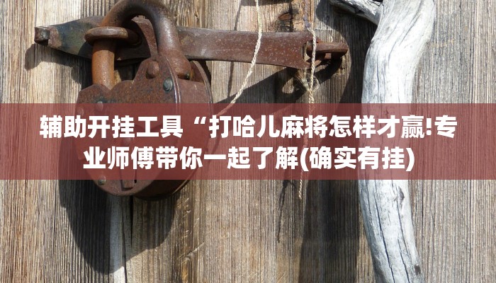 辅助开挂工具“打哈儿麻将怎样才赢!专业师傅带你一起了解(确实有挂)
