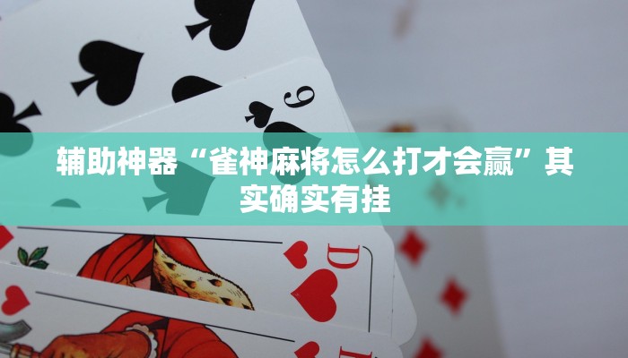 辅助神器“雀神麻将怎么打才会赢”其实确实有挂