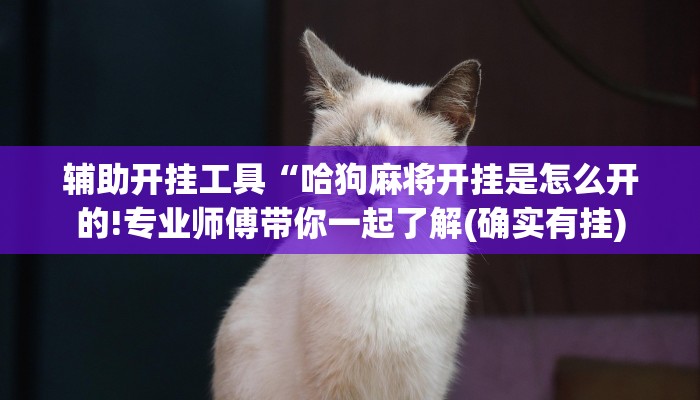 辅助开挂工具“哈狗麻将开挂是怎么开的!专业师傅带你一起了解(确实有挂)