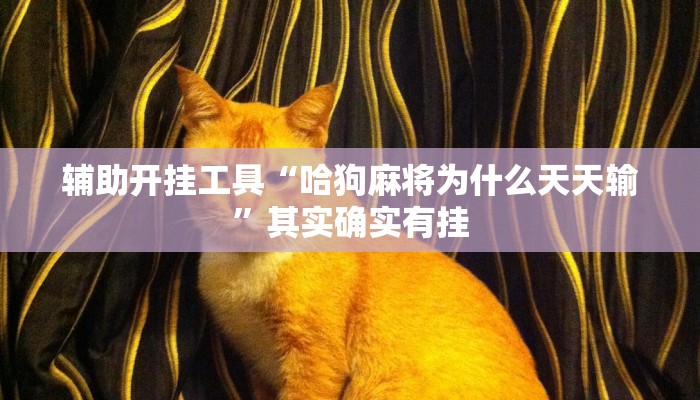 辅助开挂工具“哈狗麻将为什么天天输”其实确实有挂