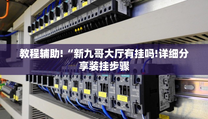 教程辅助!“新九哥大厅有挂吗!详细分享装挂步骤