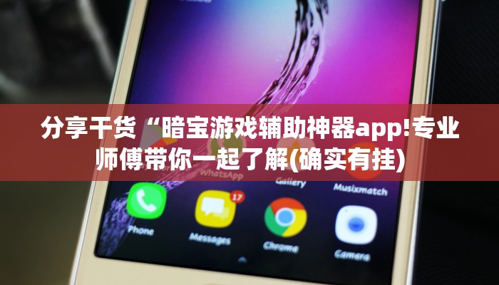 分享干货“暗宝游戏辅助神器app!专业师傅带你一起了解(确实有挂)
