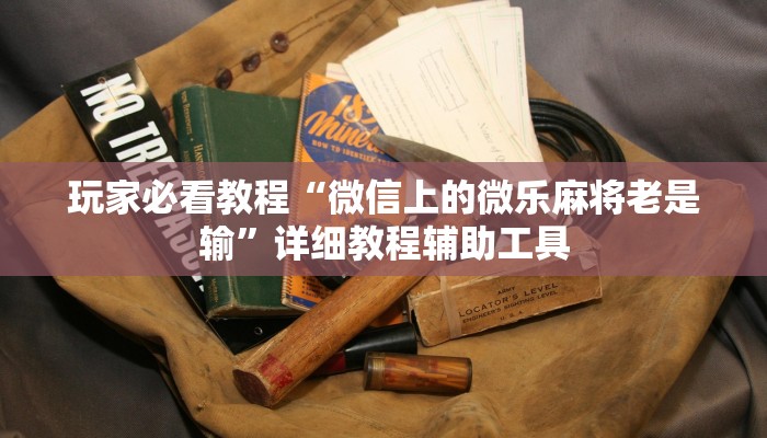 玩家必看教程“微信上的微乐麻将老是输”详细教程辅助工具