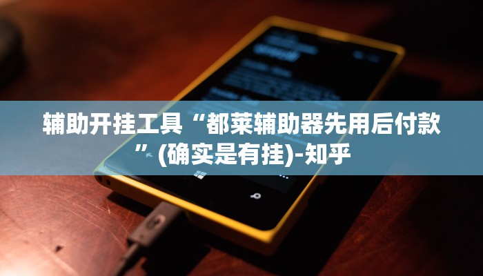 辅助开挂工具“都莱辅助器先用后付款”(确实是有挂)-知乎