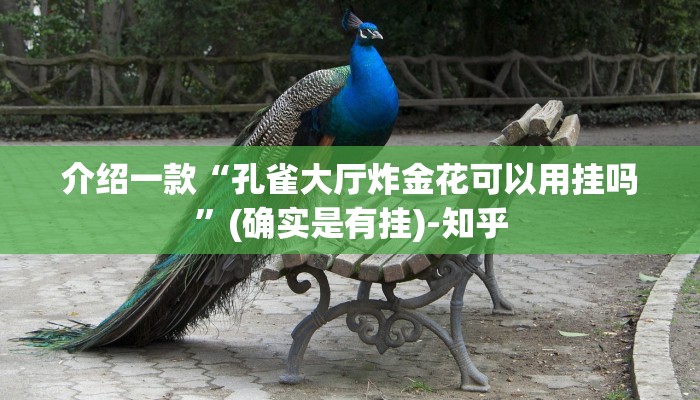 介绍一款“孔雀大厅炸金花可以用挂吗”(确实是有挂)-知乎