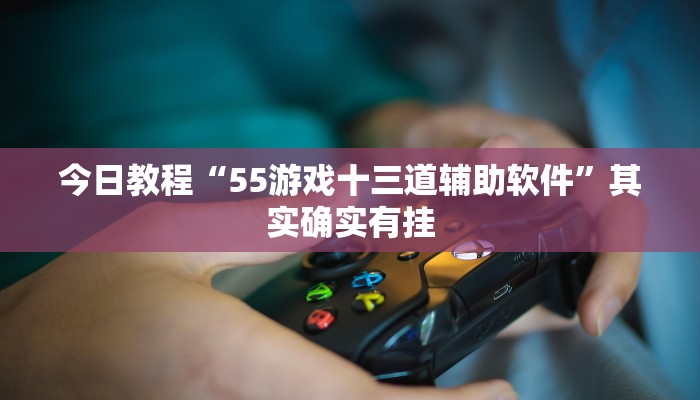 今日教程“55游戏十三道辅助软件”其实确实有挂