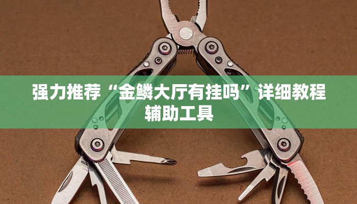 强力推荐“金鳞大厅有挂吗”详细教程辅助工具