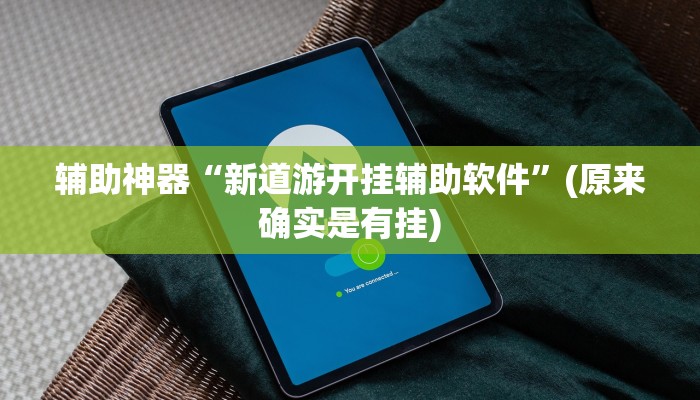 辅助神器“新道游开挂辅助软件”(原来确实是有挂)