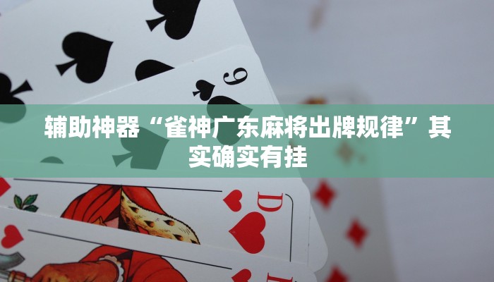 辅助神器“雀神广东麻将出牌规律”其实确实有挂