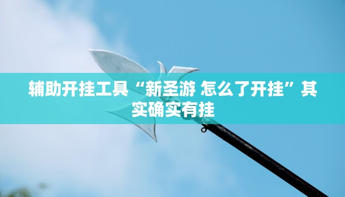 辅助开挂工具“新圣游 怎么了开挂”其实确实有挂